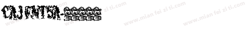CAJ FNT5A字体转换